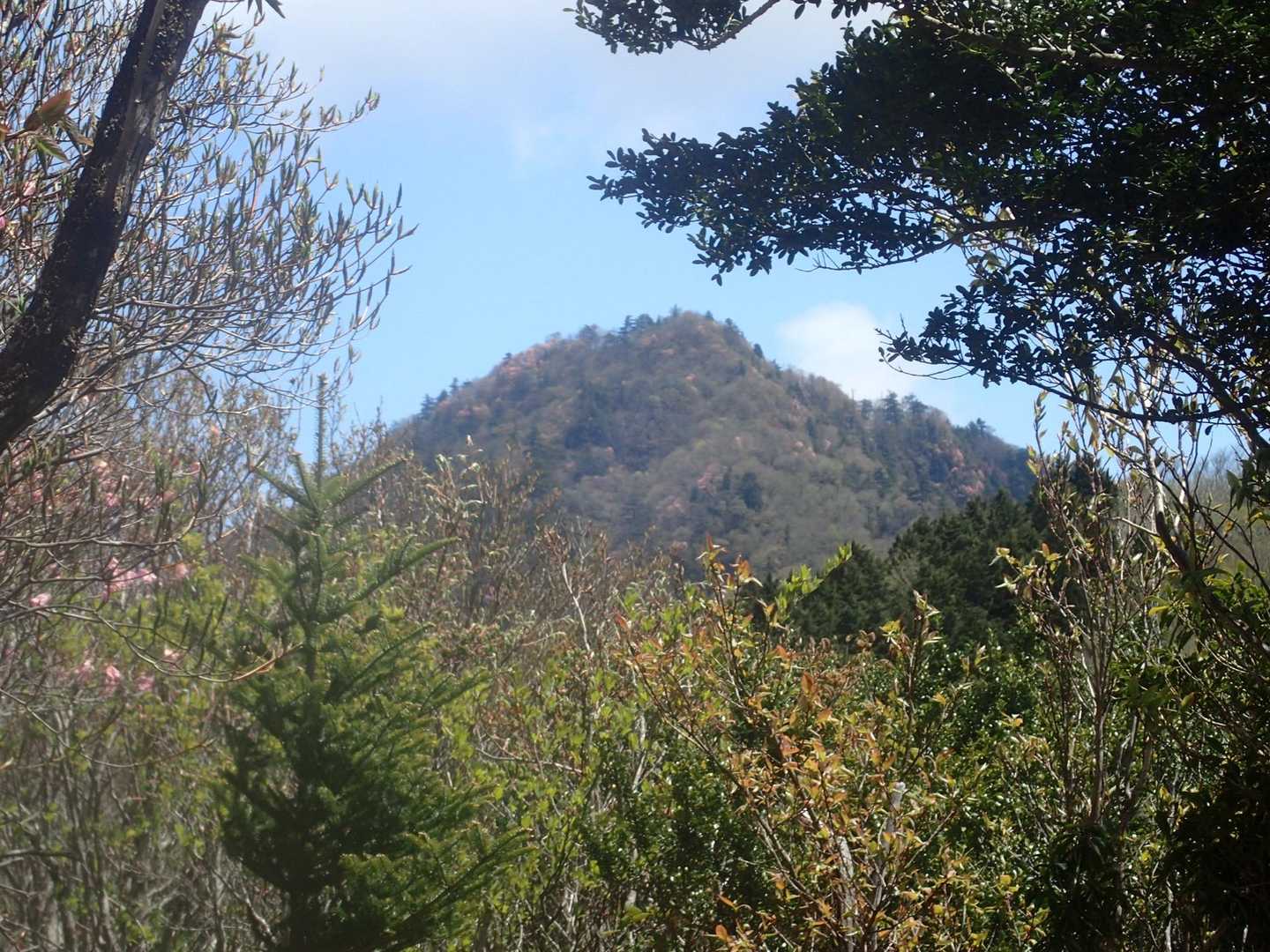 東光森山が見えてきました❗️
