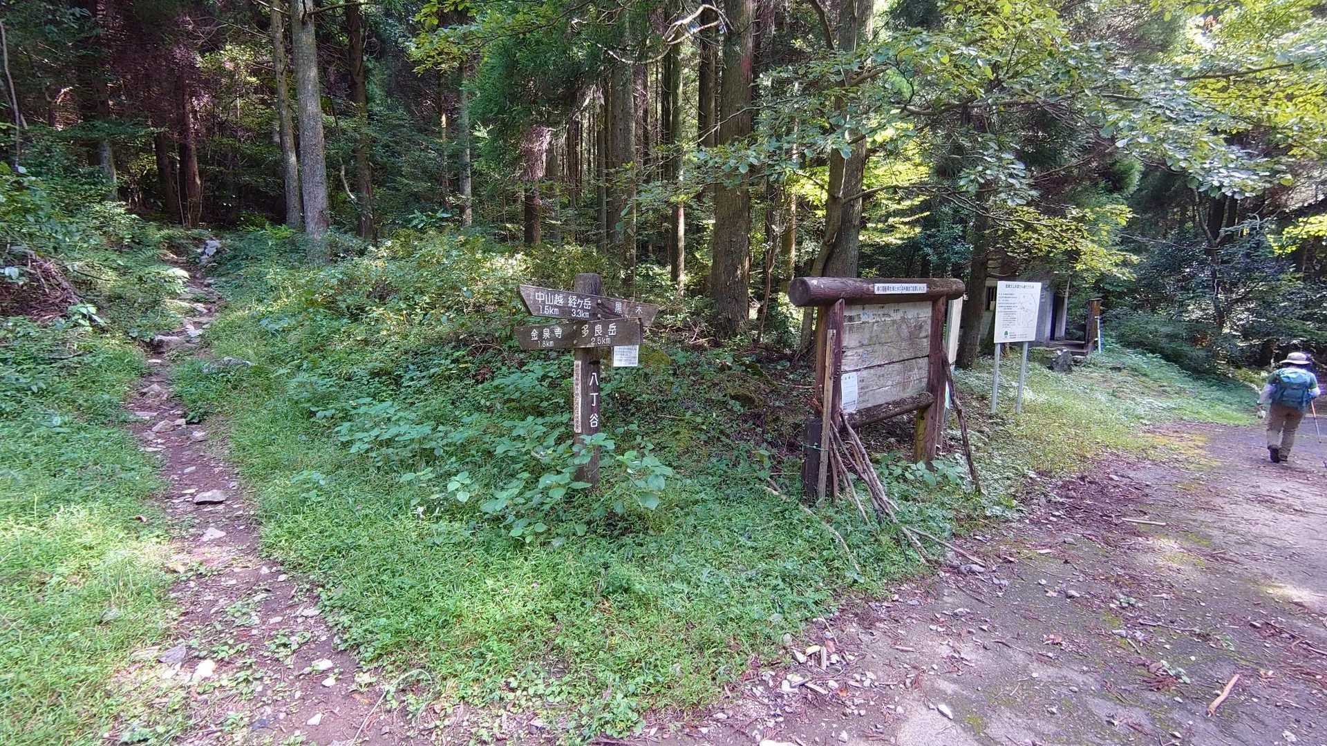 八丁谷の分岐に着き黒木に下る。