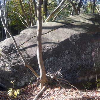 岩倉山山頂付近
名前の通り、大きな岩が複数有りました