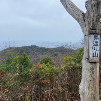 見返山（みかえりやま / 標高336m）: 札立山の近くに位置し、縦走路のポイントとなっています。