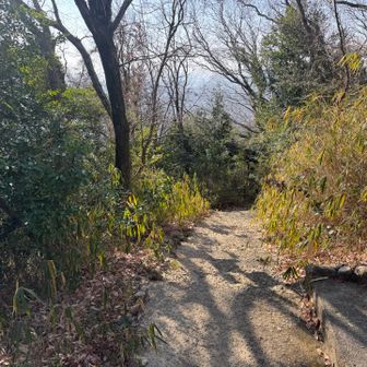 さて、これにて六甲ハイカーは
コンプになるはずなので駅に向かいます。