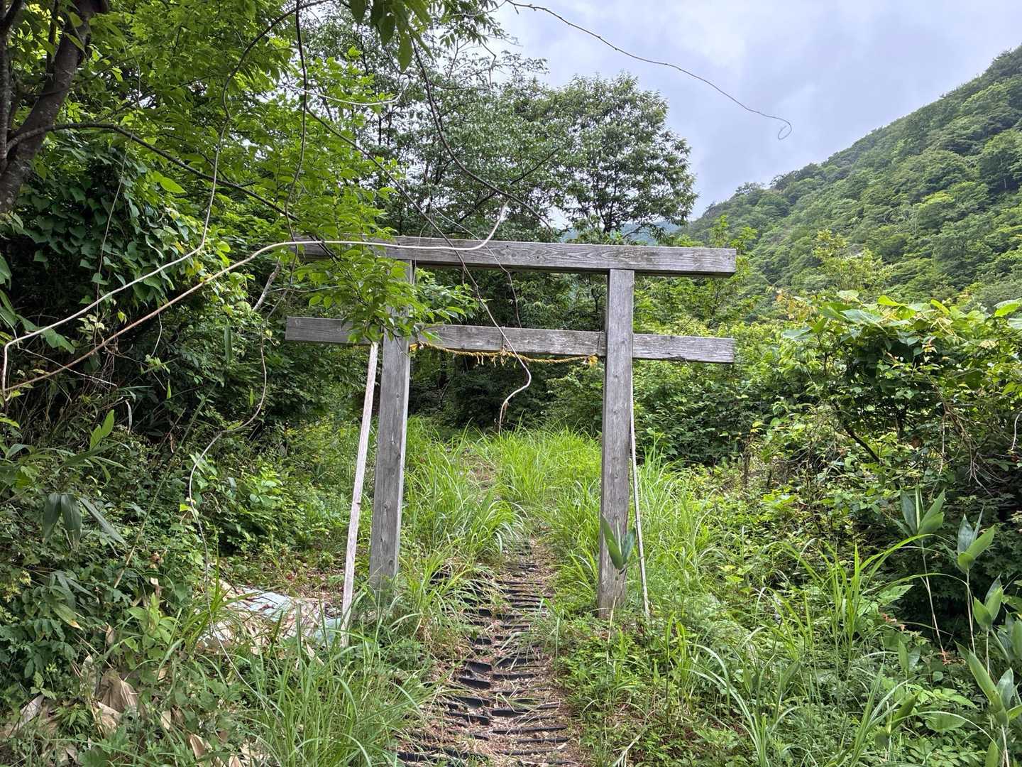 としばらく歩いて小葉谷登山口に到着！

あいにくの天気で眺望は残念でしたが、今年もたくさんの天女さまに出会えて最高の山行でした😄