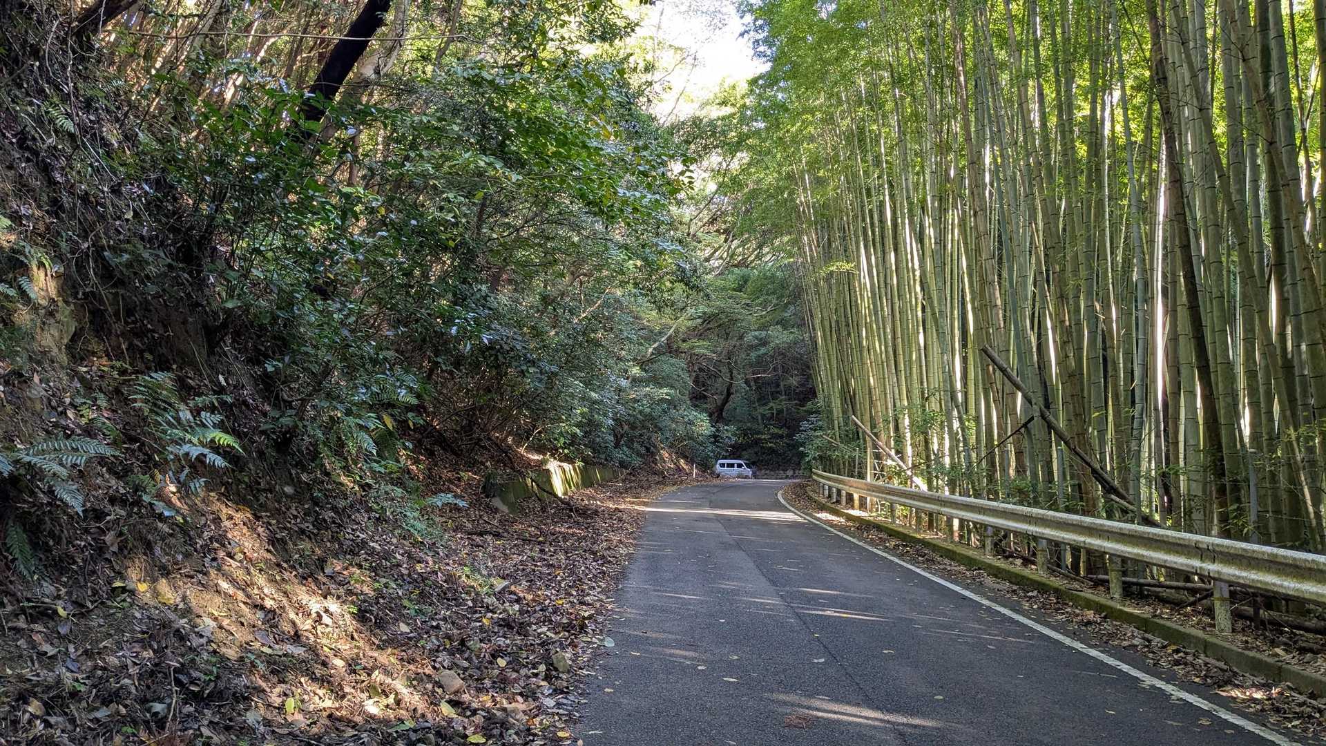 峠の登山口に🚶