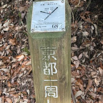 やっと山道です