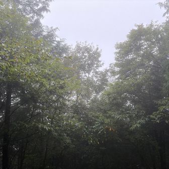天気も悪くガスガス状態です。