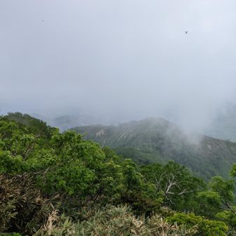 ガスってます☁