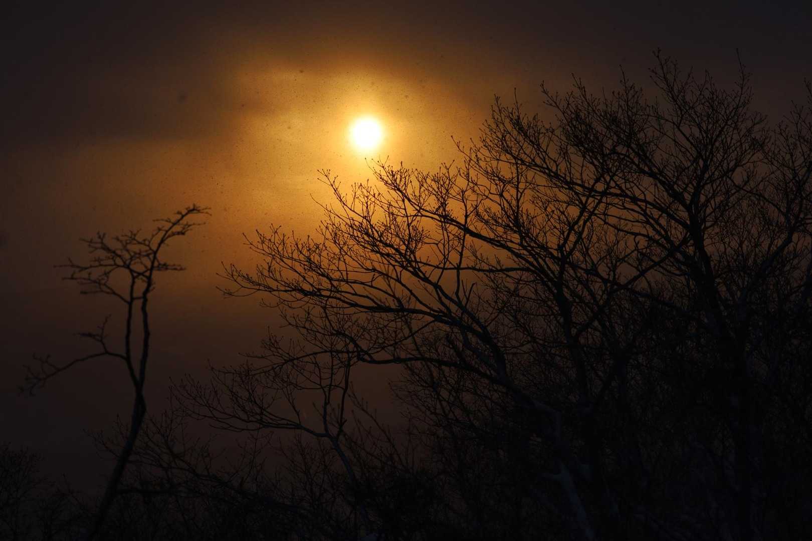 眩しい。。。