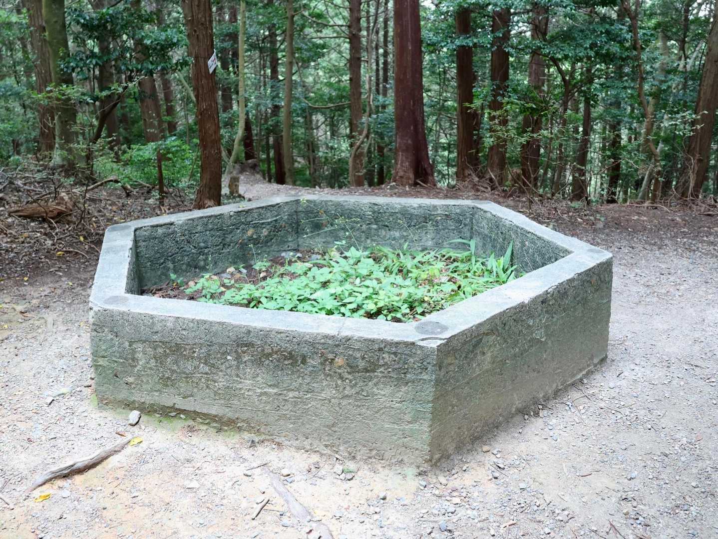 これは？