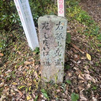 登りは右へ　降りは左から戻ってきました