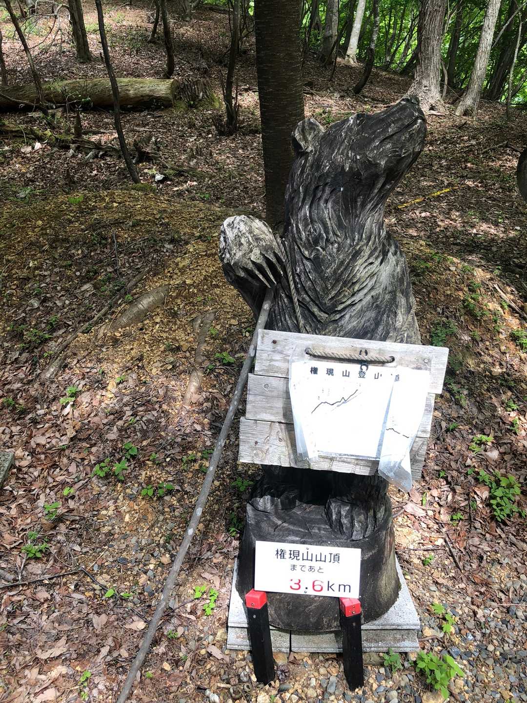 高屋山 往復コースの写真