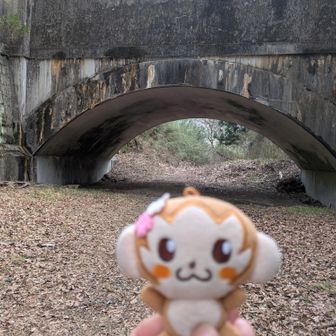 あ！ピーヤ(⁠✯⁠ᴗ⁠✯⁠)
でもなんか、違う◖⁠⚆⁠ᴥ⁠⚆⁠◗