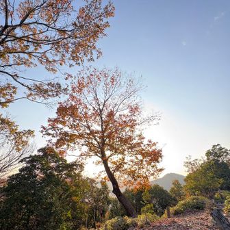 城山（ご飯山）頂上