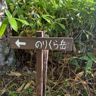 車道とショートカットの登山道が交互に続きます