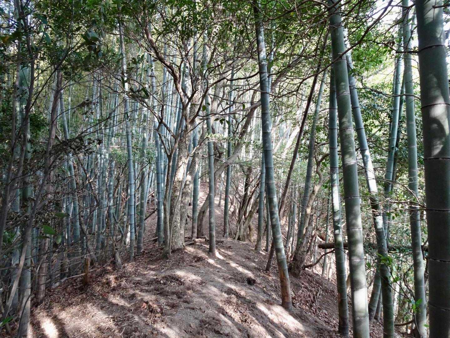 楽しい〜