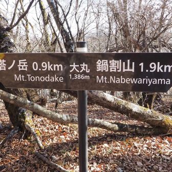 先ず、大丸に！