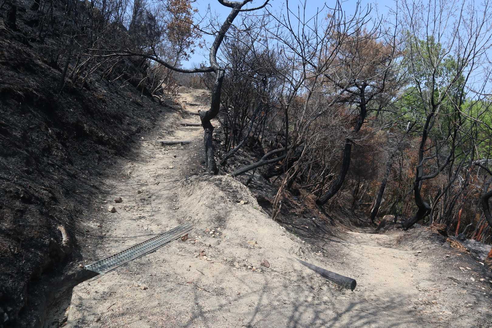 世田薬師バス停-世田薬師登山口-世田山-笠松山 往復コースの写真