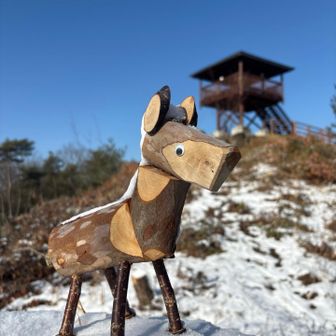 思わず、可愛い〜😍と声が出ます
木製の仔馬🐴✨この府中アルプス周辺の
整備して下さってる里山倶楽部の方が
作られたそうです👏✨