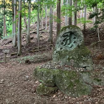達磨石（三ッ峠山・本社ヶ丸・鶴ヶ鳥屋山 / 山梨） / アクセス・地図