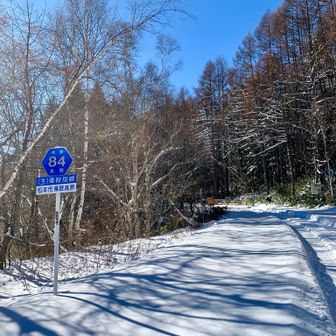 休暇村から県道乗鞍岳線（エコーライン）を歩いていきます