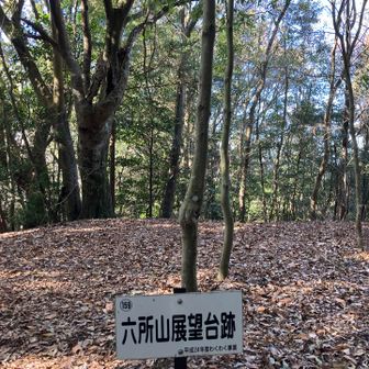 展望台跡も眺望なし