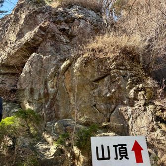 越敷山山頂は、この上