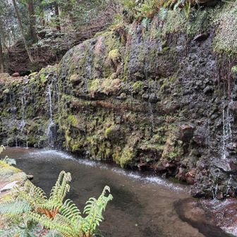 千条ノ滝。かわいいサイズ感。