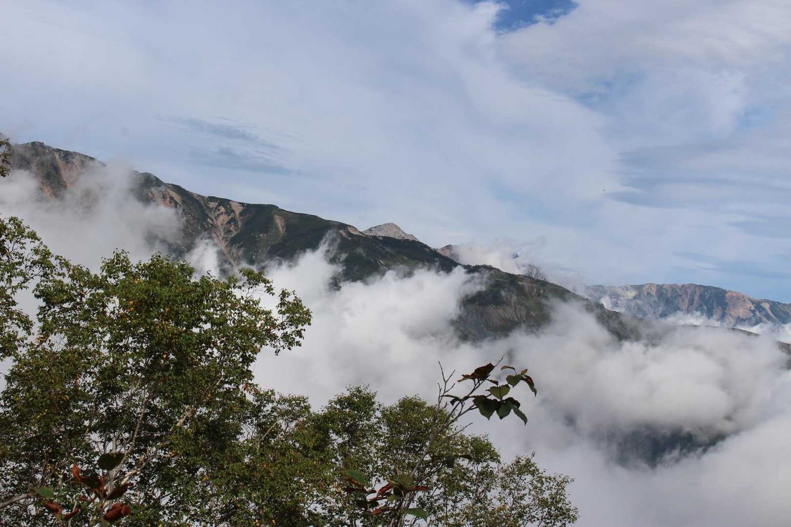白岳-西遠見山-大遠見山-中遠見山-地蔵の頭-アルプス平駅 縦走コースの写真