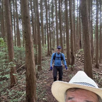 今日は２人で