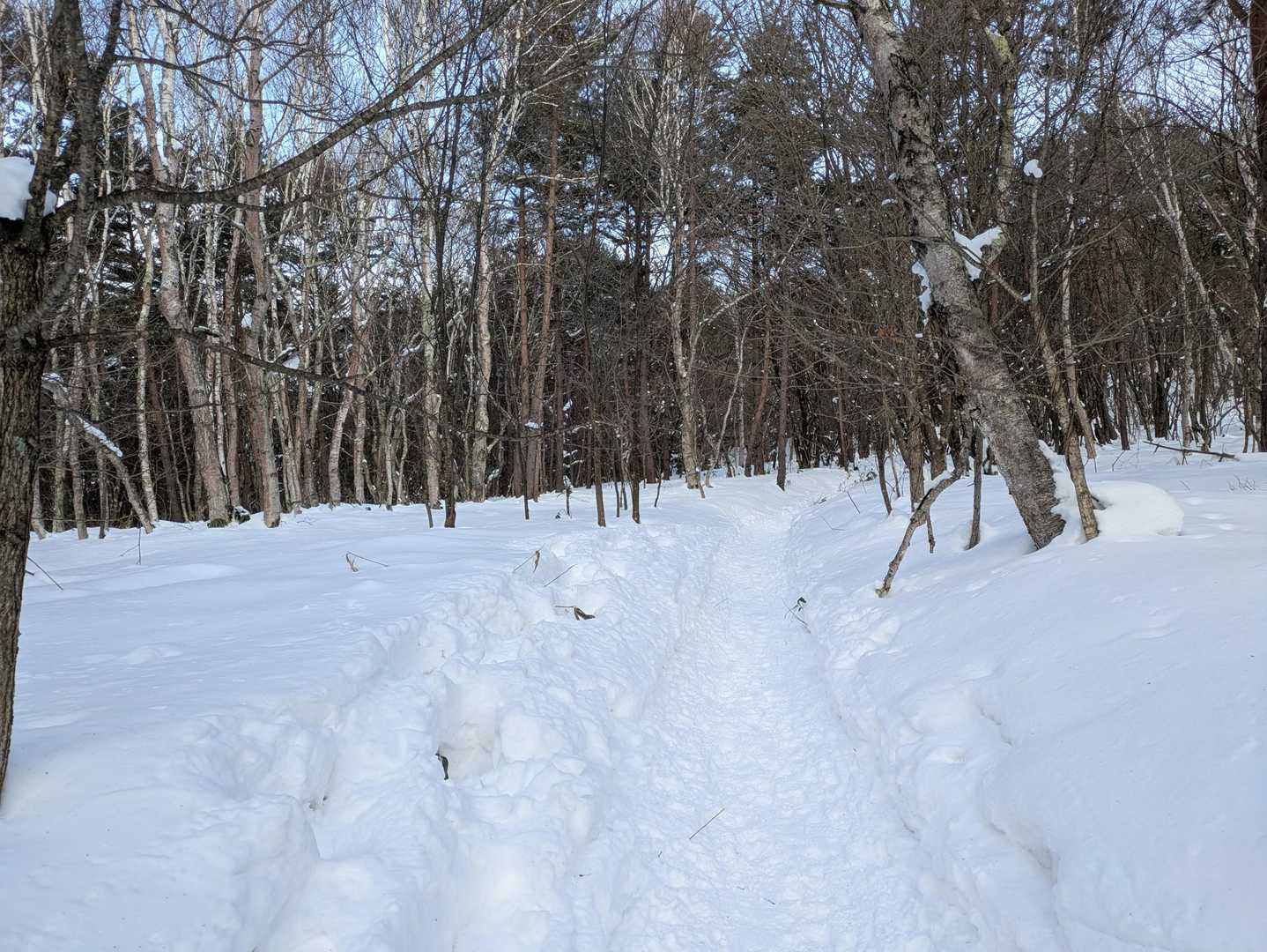 四阿山登山口-四阿山 往復コースの写真
