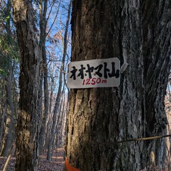 オオヤマト山に登頂!!