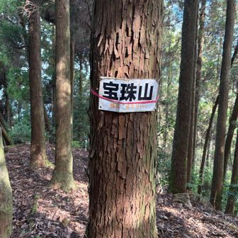 宝珠山まで行く🦵