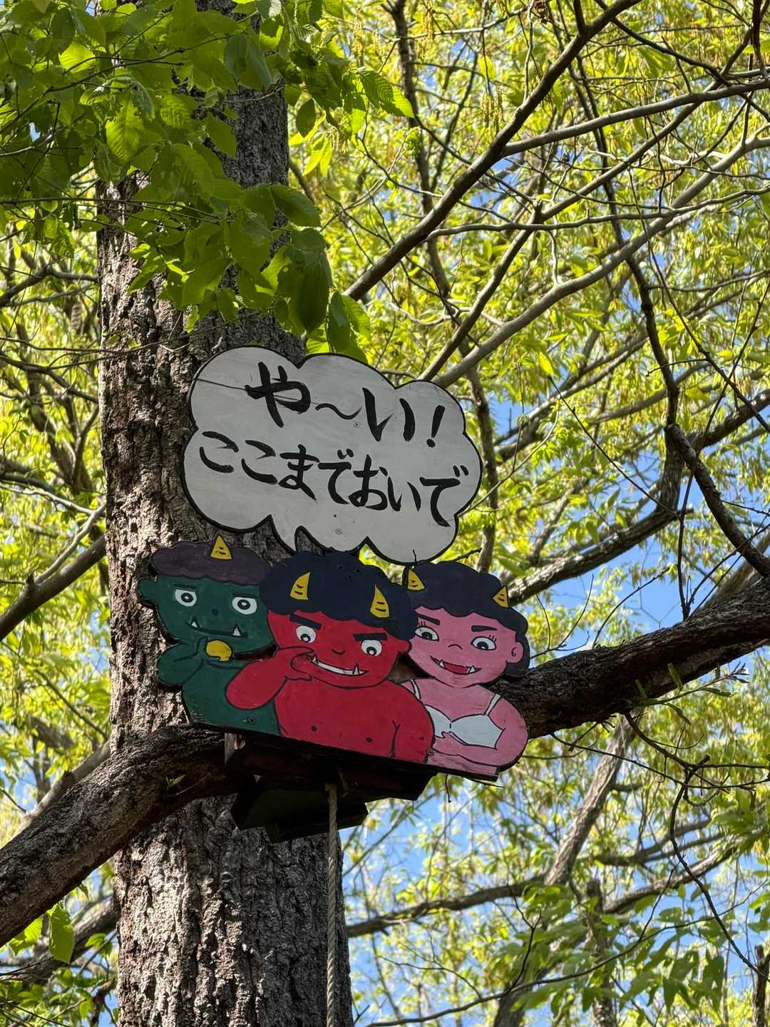 鬼飛山 往復コースの写真