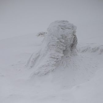 チビモンスター