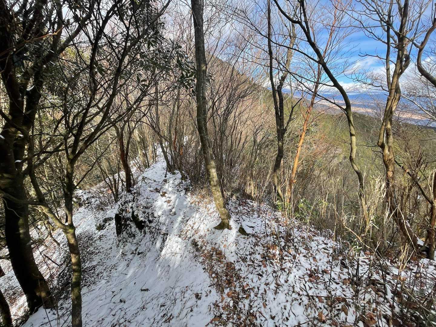 位牌岳（長泉町森林公園）の写真