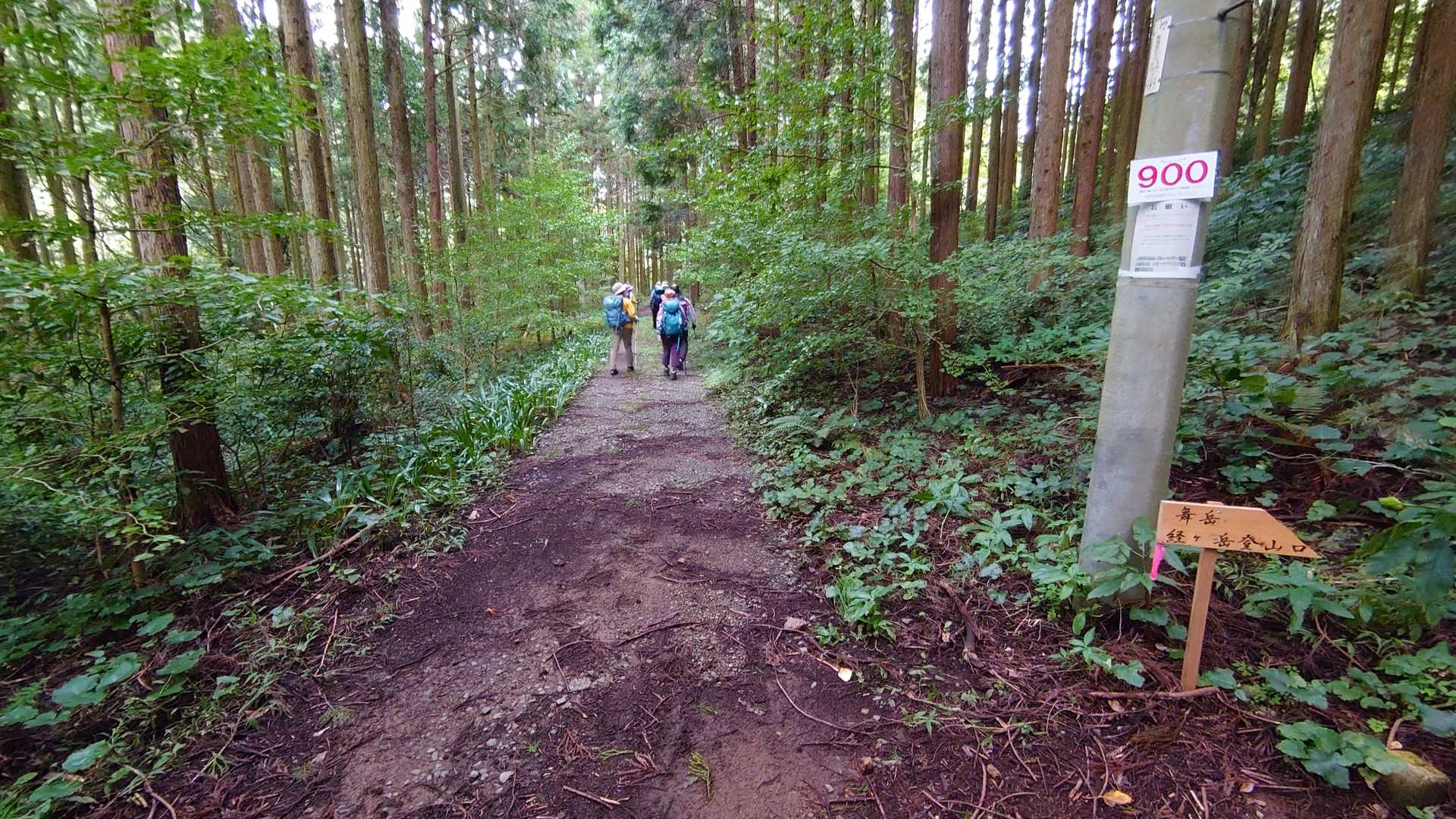 舞岳分岐(レスキューP900)前を通過。