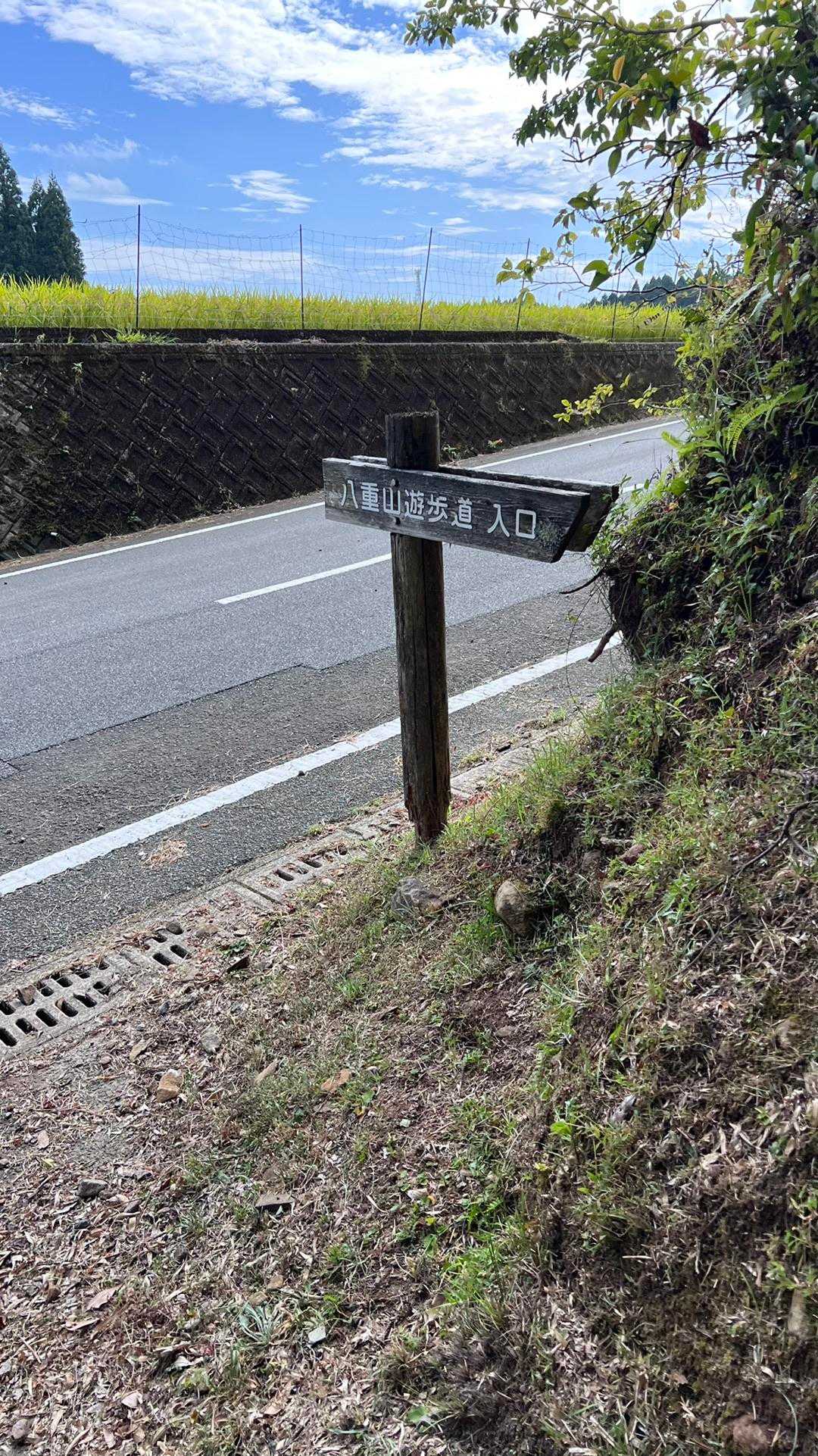 八重山 往復コースの写真