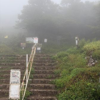 では、食後の運動💪
登りますか❗️