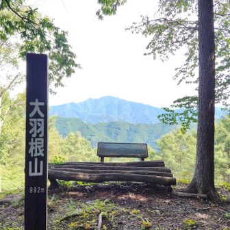 前半ハイライトの大羽根山到着。しばし座って休憩。