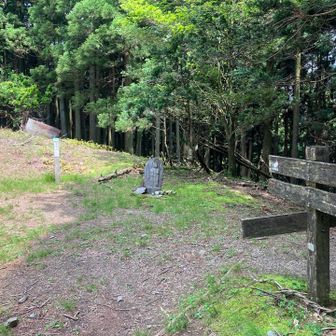 妻坂峠！あと少し。ほっとする。