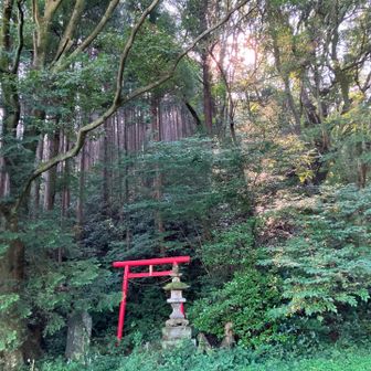 今日は、JR八高線大見田踏切近くの登山口から。「鳥居をくぐって階段コース」ではなく、「小川沿いを歩くコース」からスタート。