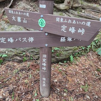 旧定峰峠に到着。経塚から一時間くらい。けっこうな低山を登った感覚でした。
