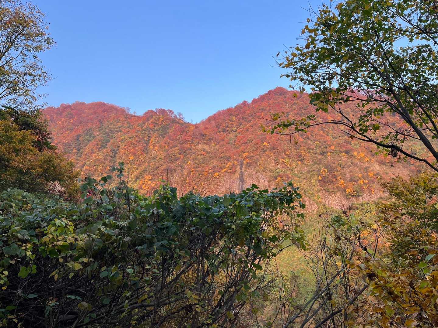 柵口登山口の写真