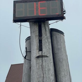 16℃
風強く寒かった。