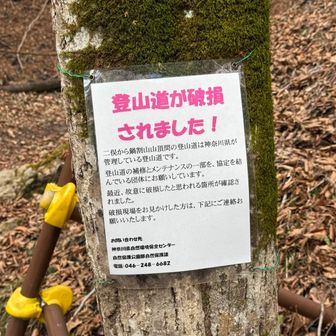 これはイカンな。