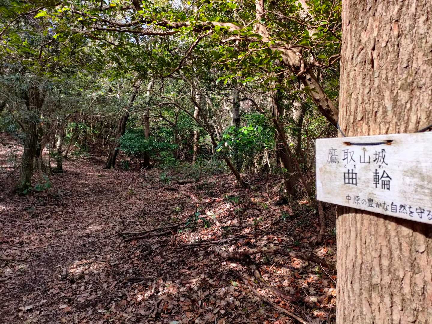 こっちが曲輪?
両方?🤔