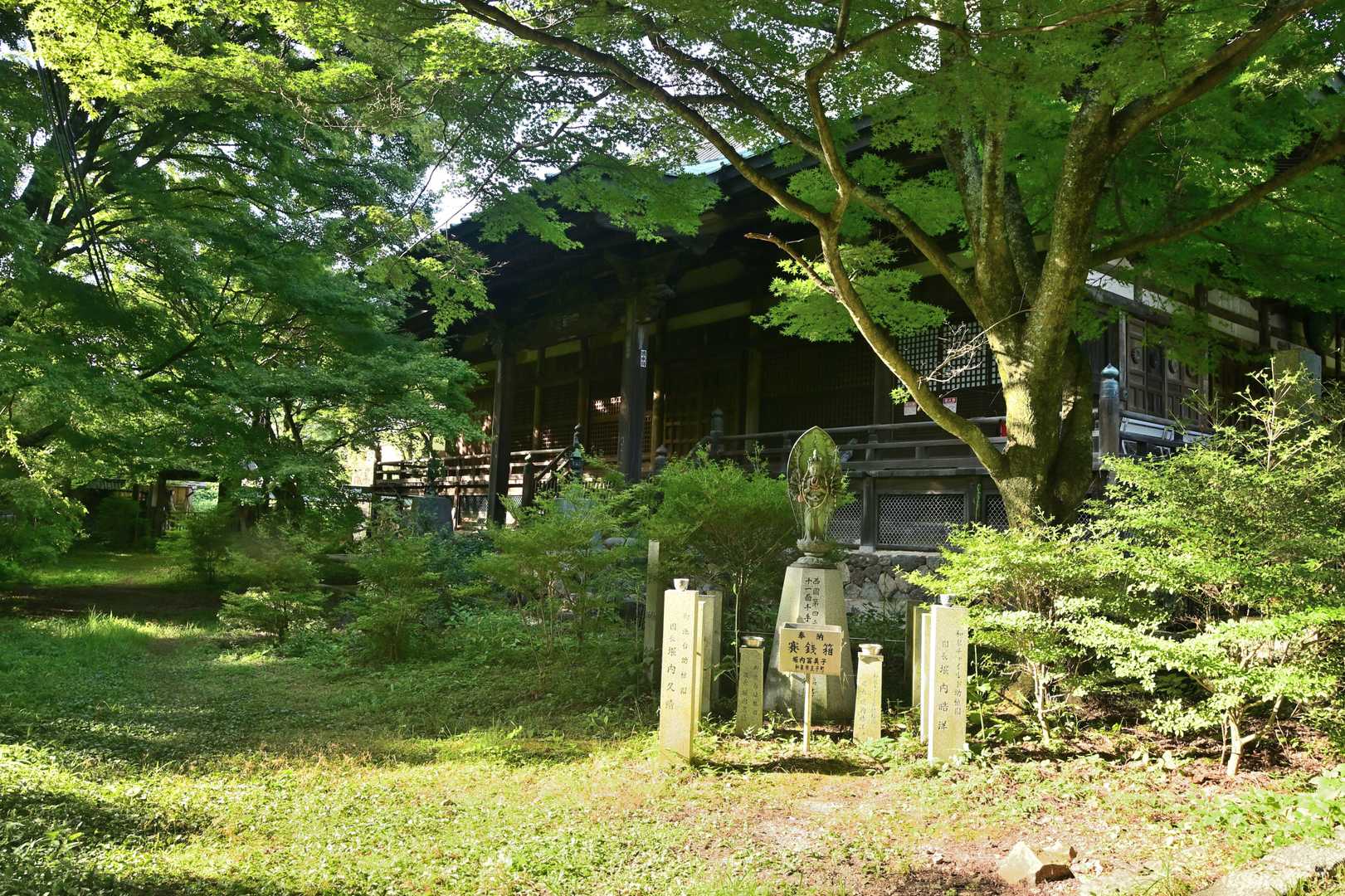 施福寺-槇尾山バス停 周回コースの写真