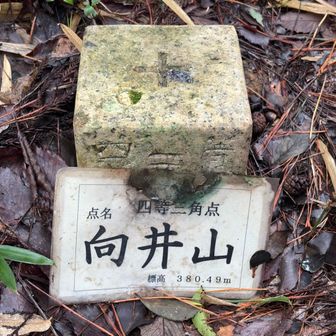 最初のピークは『向井山』
