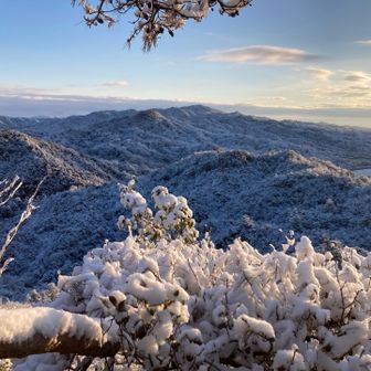 思っていたより綺麗😍