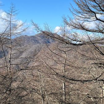 行きたかった鷹ノ巣山か？