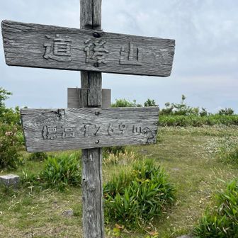 風が強く以外と寒い😨